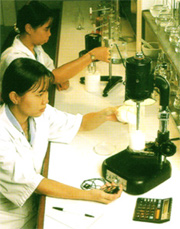 Latex Glove Manufactures